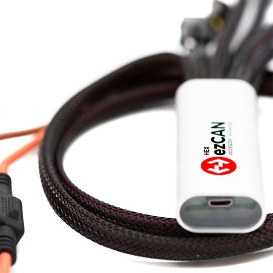 10 (1) (1)_edited-1.jpg